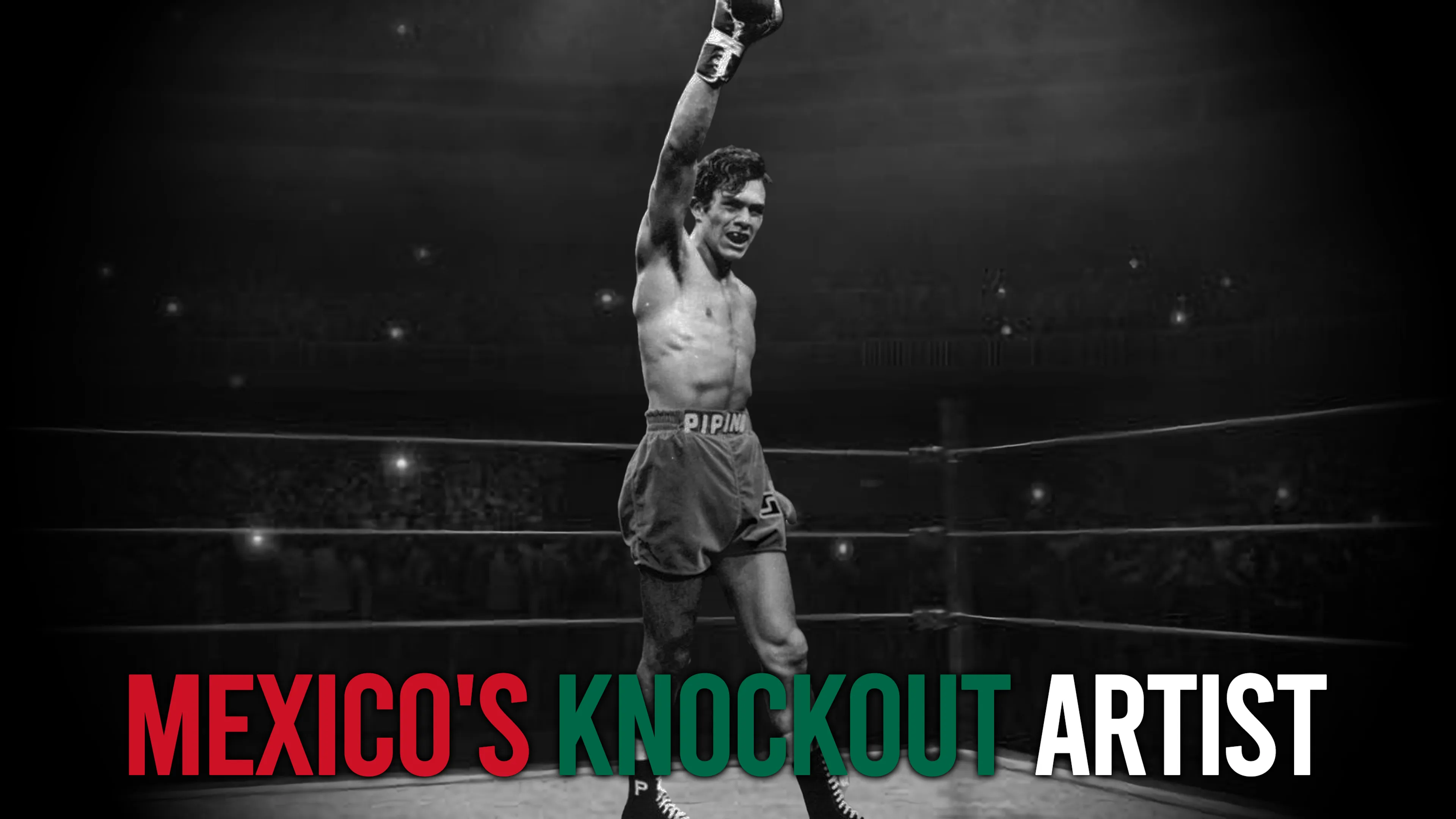 Mexico's Knockout Artist poster